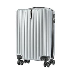 Leisure business luggage with large capacity adult luggage